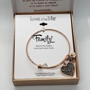 LovethisLife Stainless Steal Bangle Bracelet